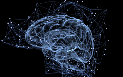 Why Every Cardiovascular or Neuro Lab Needs Dolphin TCD